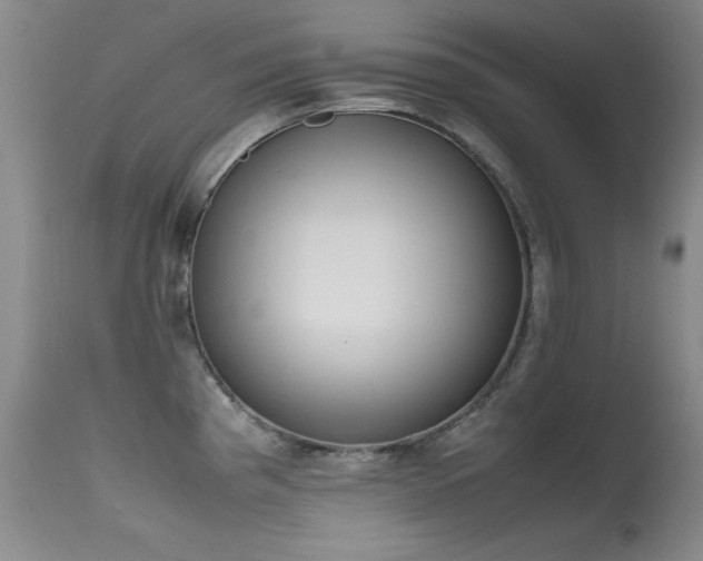 X0000115621193200911101408