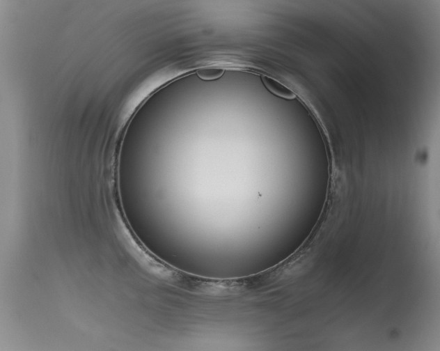 X0000115621195200911101408