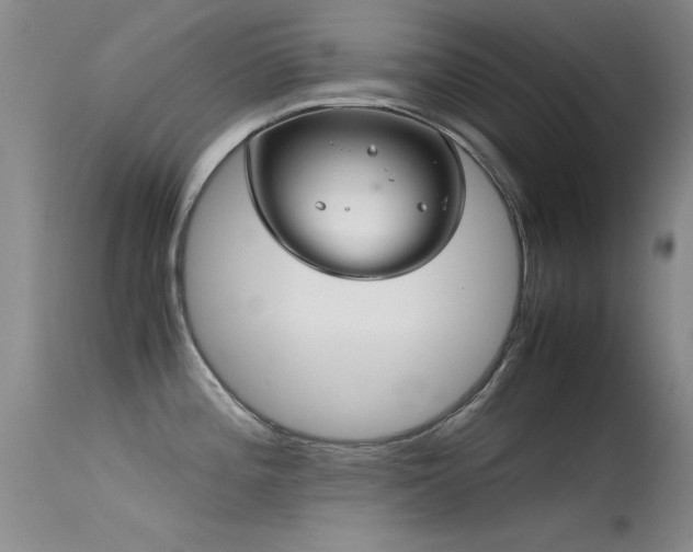 X0000115621196200911101408