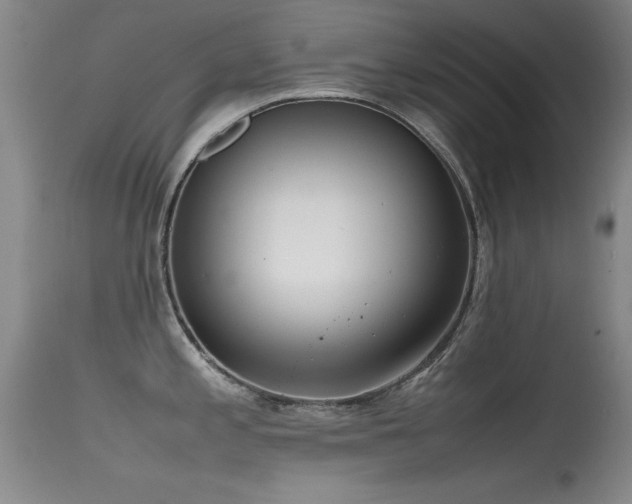 X0000115621197200911101408