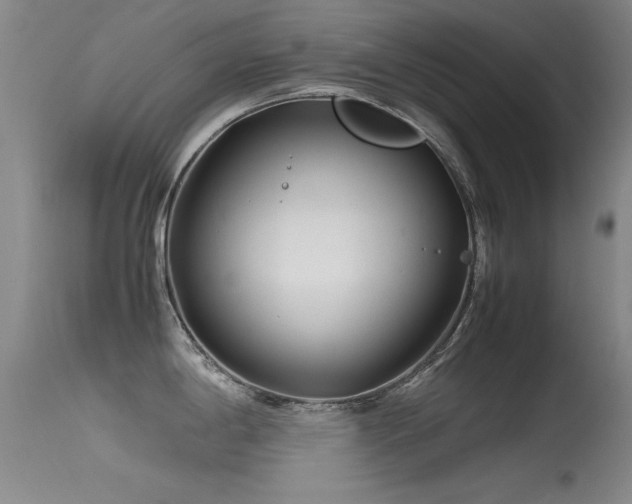 X0000115621198200911101408