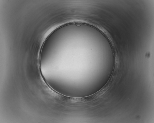 X0000115621199200911101408