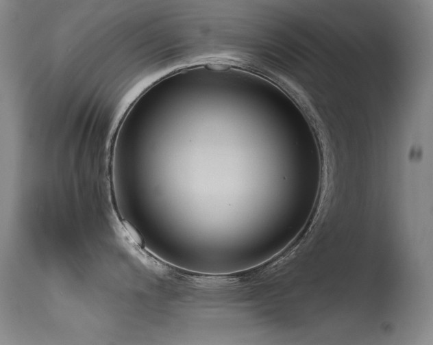 X0000115621200200911101408