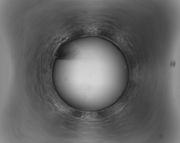 X0000115621201200911101408