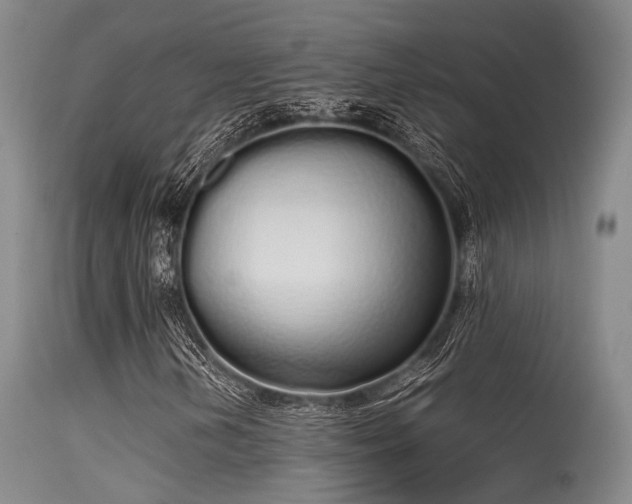 X0000115621202200911101408