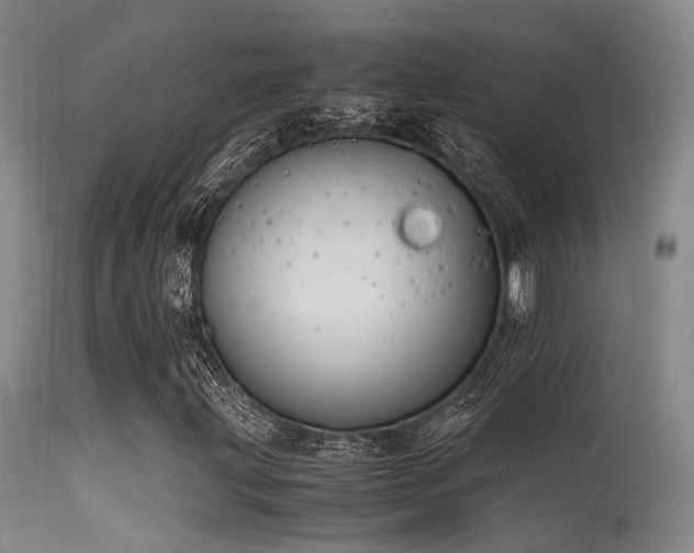 X0000115621203200911101408