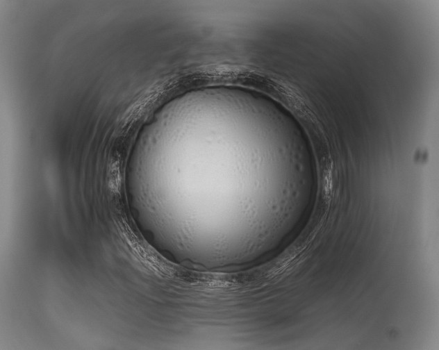 X0000115621204200911101408