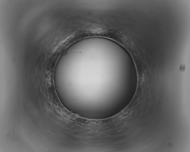 X0000115621205200911101408