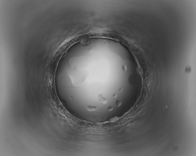 X0000115621206200911101408