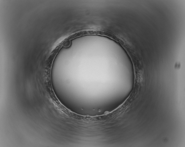 X0000115621208200911101408