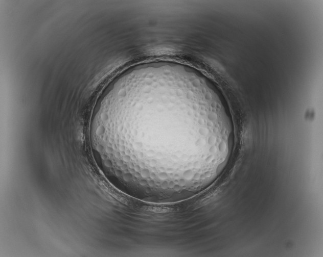 X0000115621209200911101408