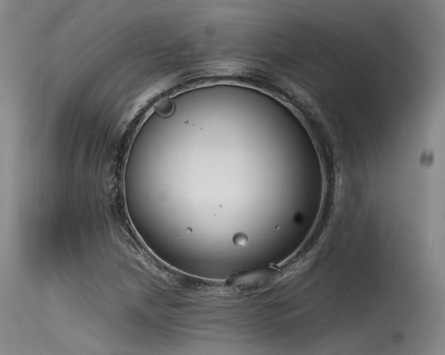 X0000115621210200911101408