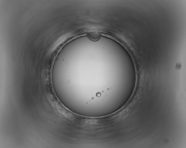 X0000115621211200911101408