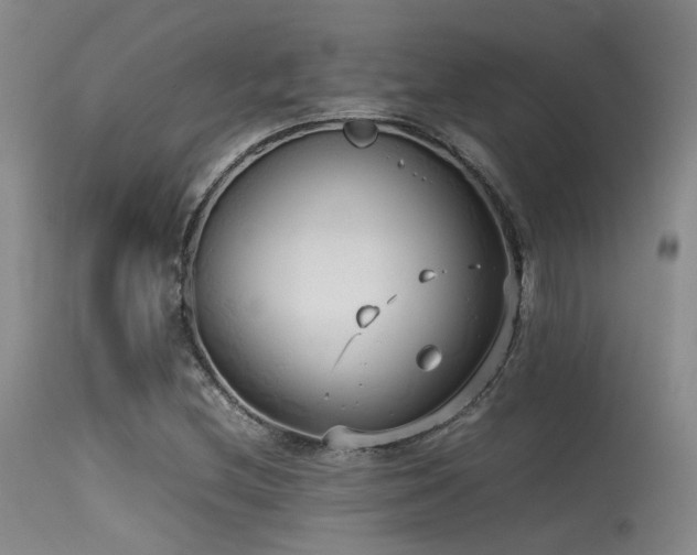 X0000115621212200911101408