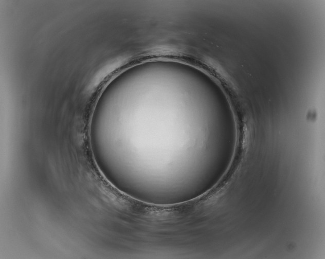 X0000115621213200911101408