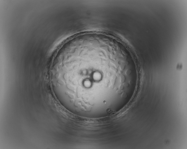 X0000115621215200911101408