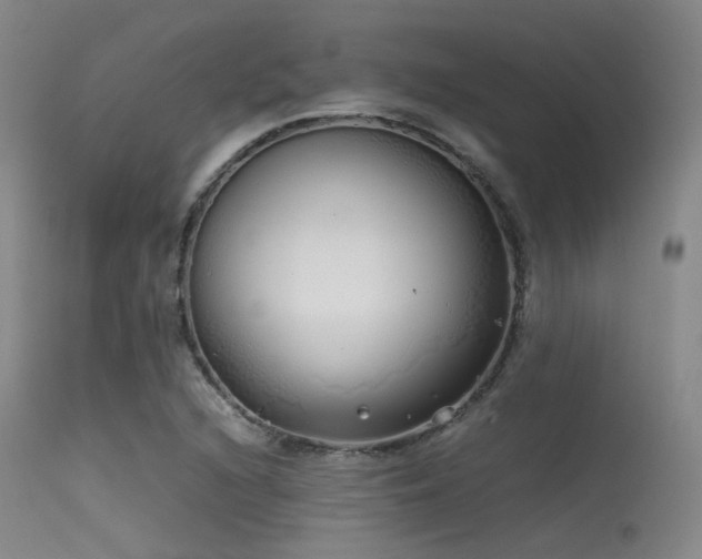 X0000115621216200911101408