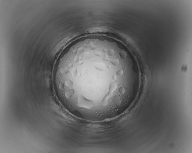 X0000115621217200911101408