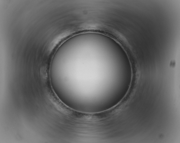 X0000115621218200911101408