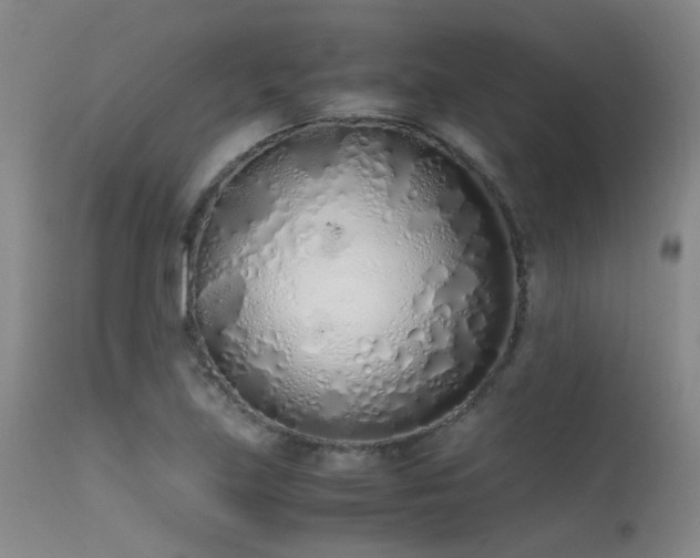 X0000115621219200911101408