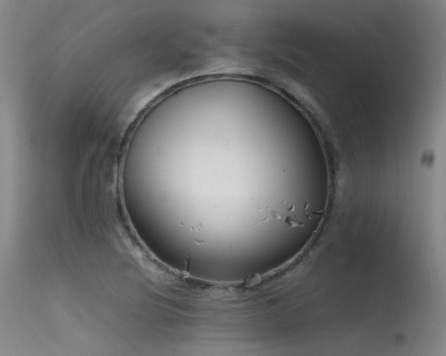 X0000115621220200911101408