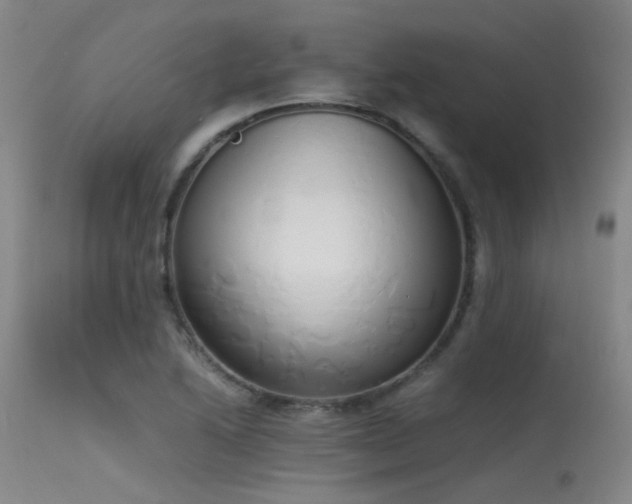 X0000115621222200911101408