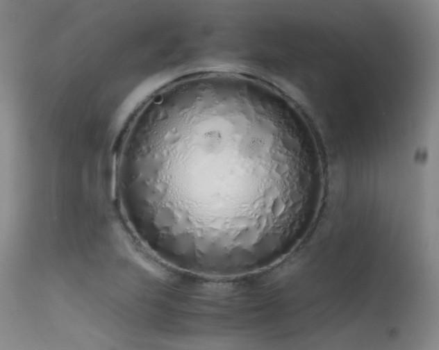 X0000115621223200911101408