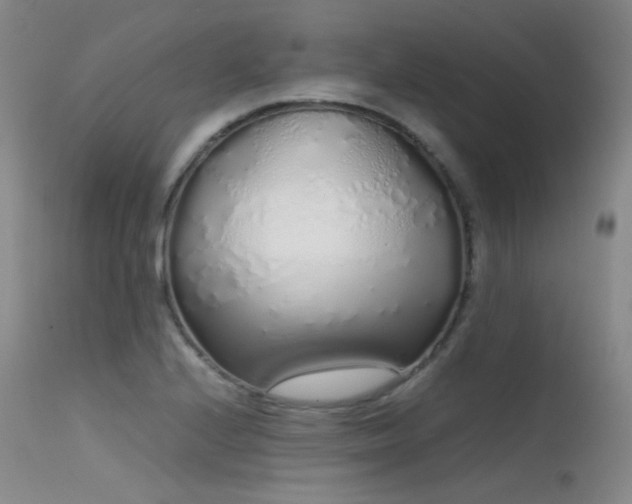 X0000115621224200911101408