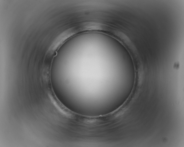 X0000115621225200911101408