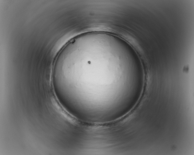 X0000115621228200911101408