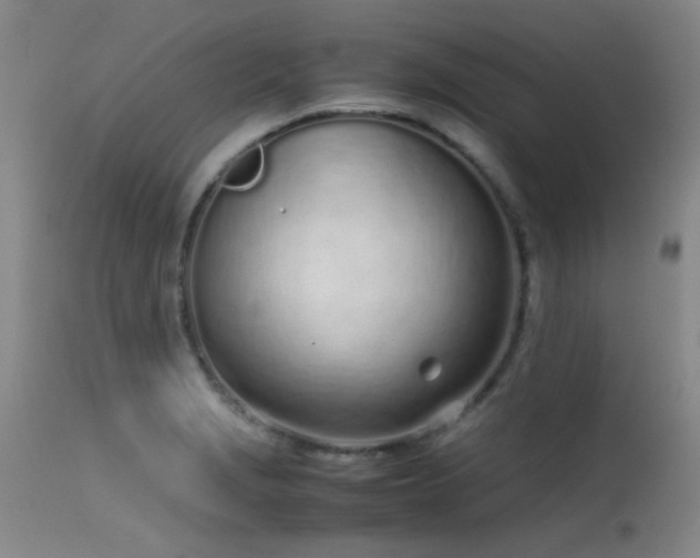 X0000115621229200911101408