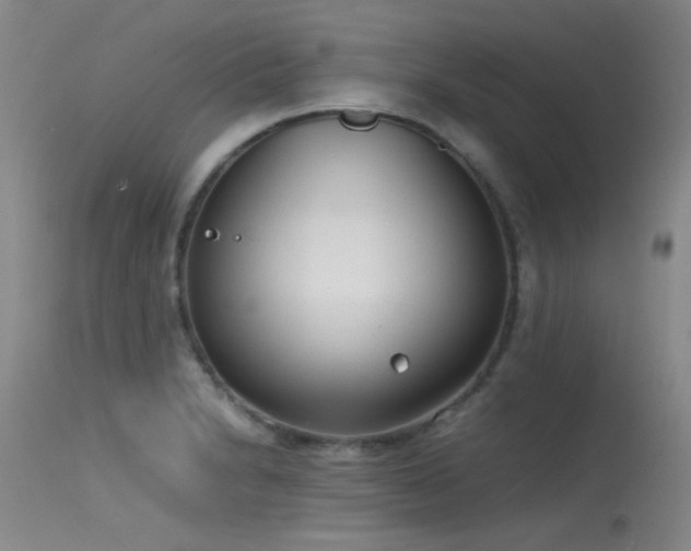 X0000115621230200911101408