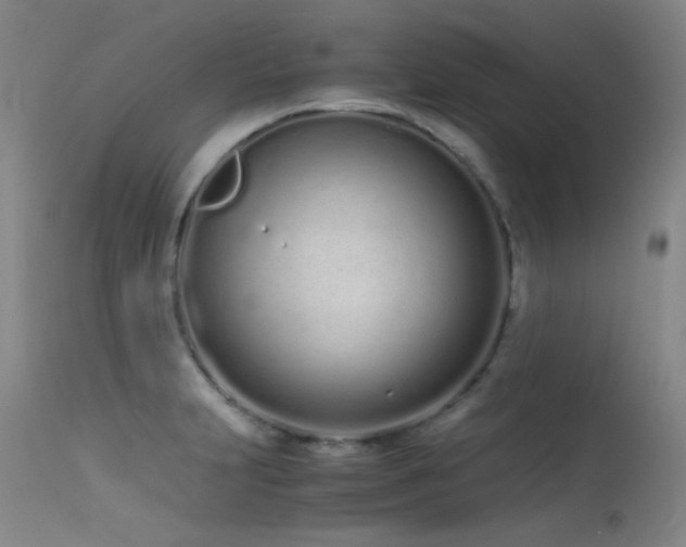 X0000115621231200911101408