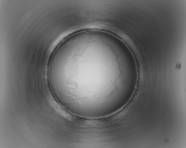 X0000115621232200911101408