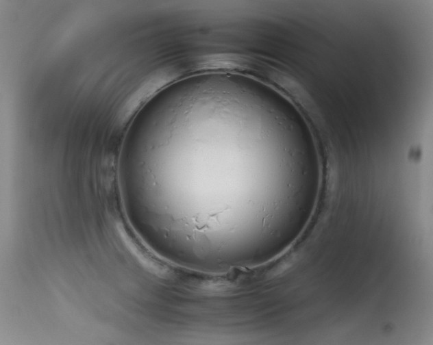 X0000115621233200911101408