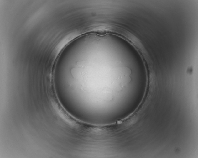 X0000115621234200911101408