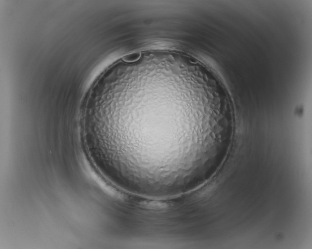 X0000115621235200911101408