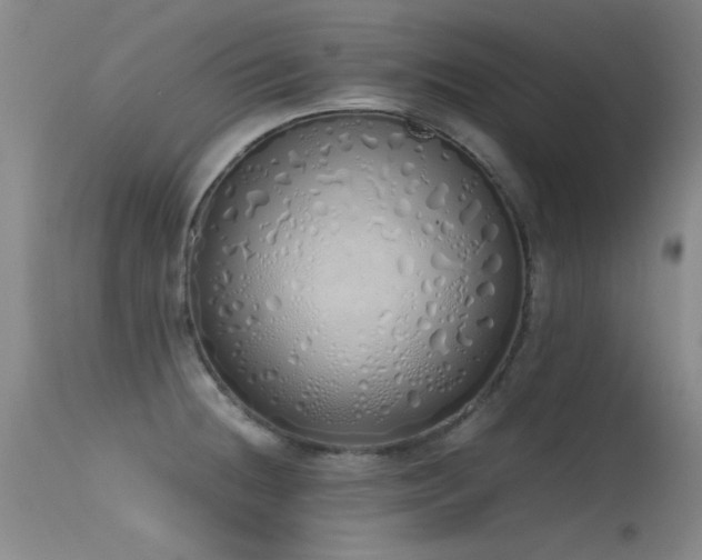 X0000115621236200911101408