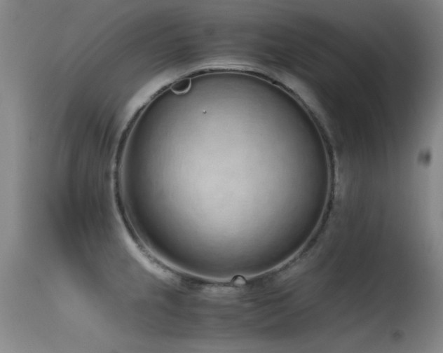 X0000115621237200911101408