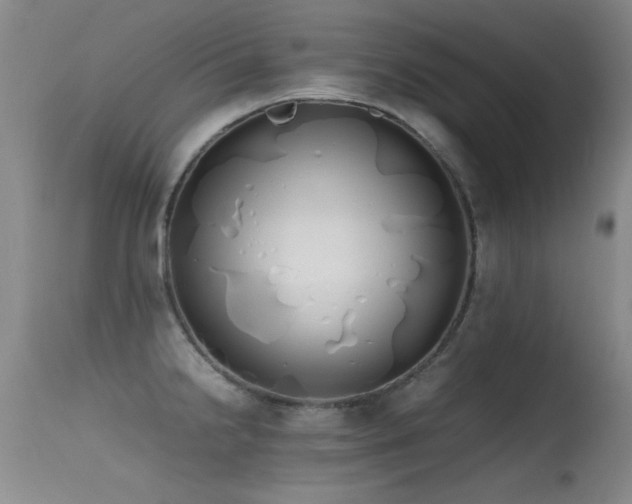 X0000115621238200911101408