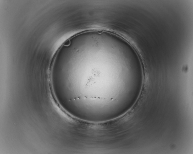 X0000115621239200911101408