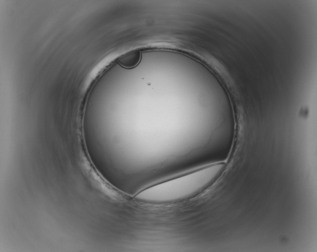 X0000115621240200911101408