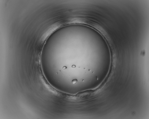 X0000115621241200911101408