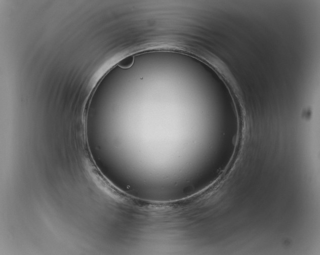 X0000115621242200911101408