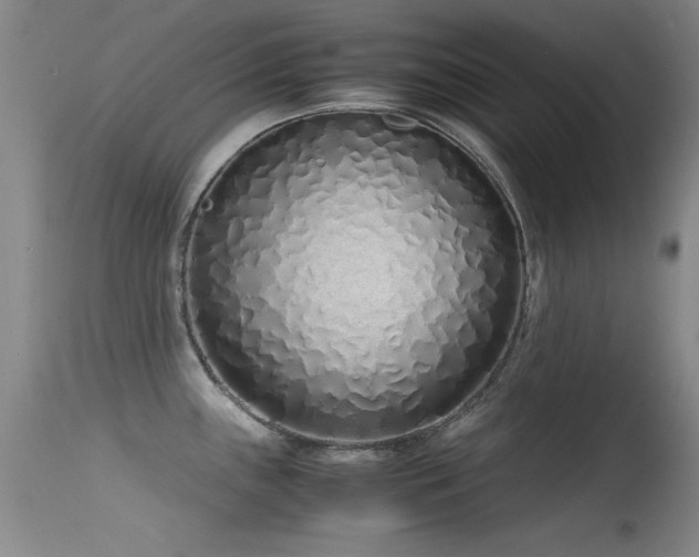 X0000115621243200911101408