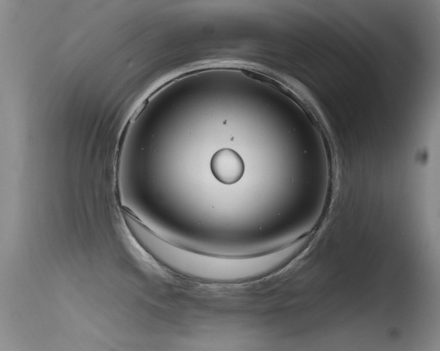 X0000115621244200911101408