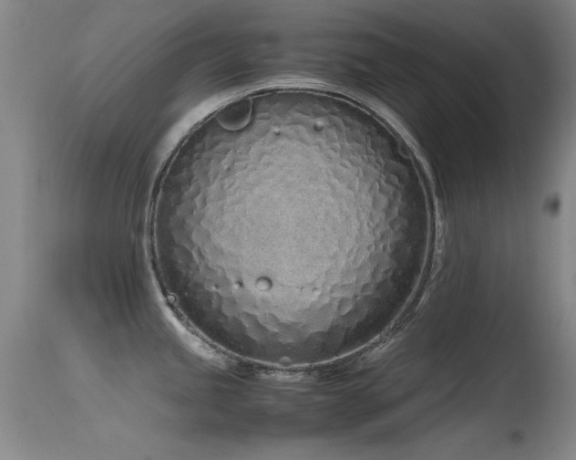 X0000115621245200911101408