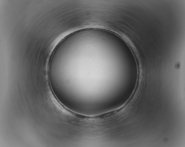 X0000115621246200911101408