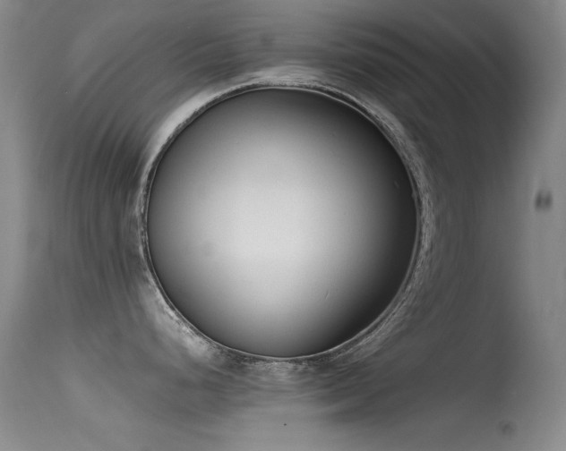 X0000115621248200911101408