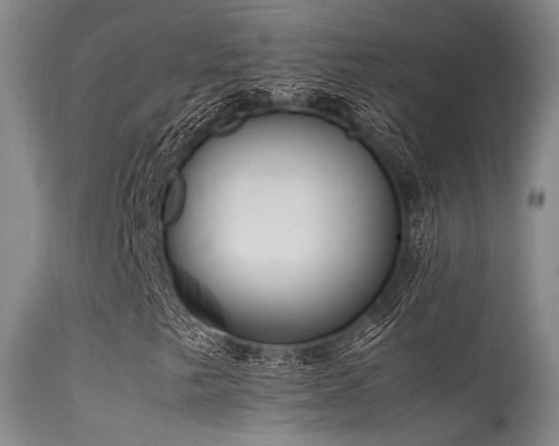 X0000115621249200911101408